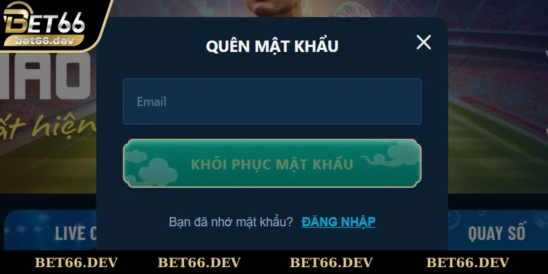 Luôn kiểm tra kỹ địa chỉ website để chắc chắn đăng nhập an toàn