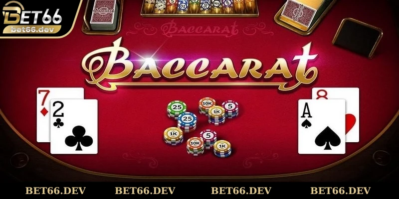 Thành viên tham gia không soi cầu baccarat theo cảm tính